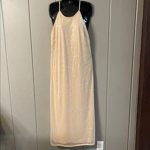 New Day Slip Dress Beige Sequins Minimalist Soft Girl Cottage Quiet Luxury